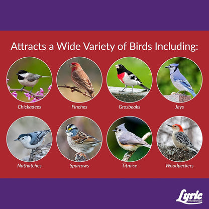 Lyric Delite Wild Bird Seed - No Waste Bird Food Mix with Shell-Free Nuts & Seeds - Attracts Buntings, Chickadees & Finches - 20 lb bag