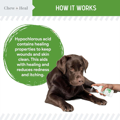 Hypochlorous Acid Spray for Dogs ??4oz Dog Wound Spray for Cuts, Burns, Sores, Abrasions, and More ??Non Toxic and Chemical Free HOCI Wound Care ??Made in The USA
