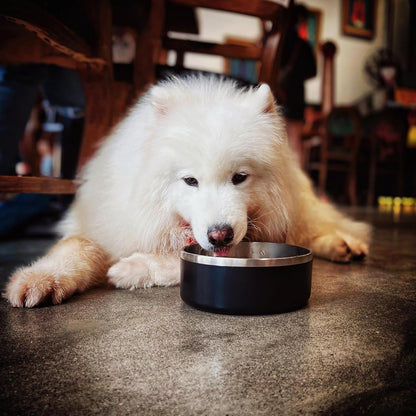 IKITCHEN Dog Bowl for Food and Water, 40 Oz Stainless Steel Pet Feeding Bowl, Durable Non-Skid Double Wall Insulated Heavy Duty with Rubber Bottom for Medium Large Sized Dogs (40 Ounces/5 Cup, Black)