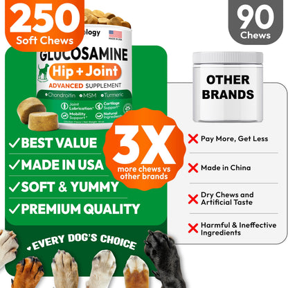 Glucosamine for Dogs. Chosen for real quality, fits naturally into modern pet homes.