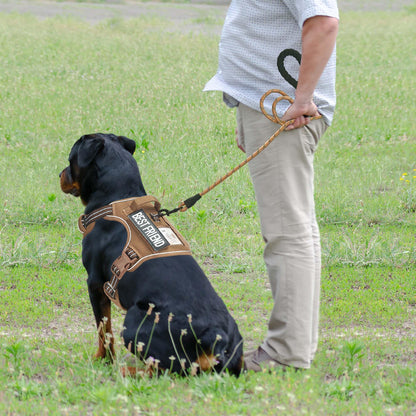 Beebiepet Heavy Duty Tactical Dog Harness for Small. Chosen for real quality, fits naturally into