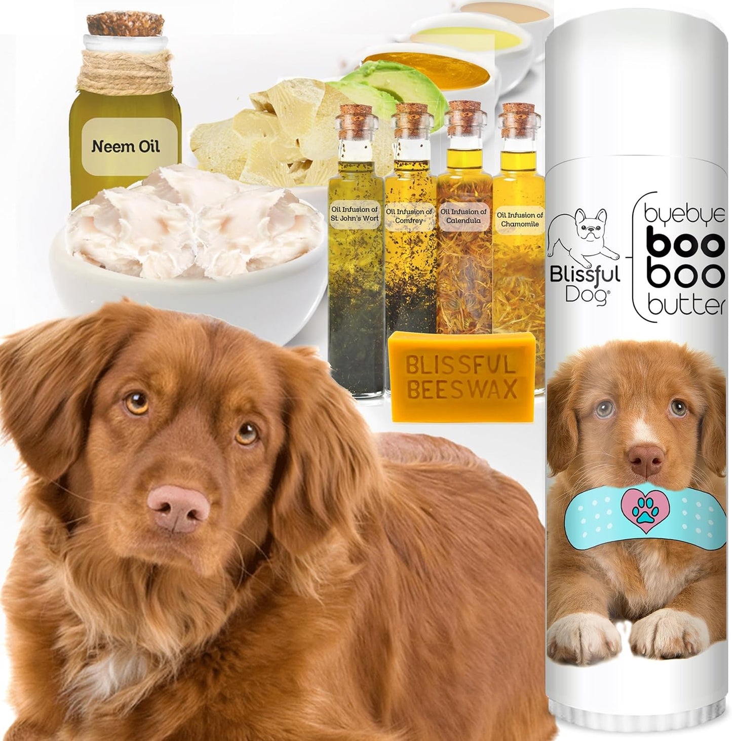 The Blissful Dog Nova Scotia Duck Tolling Retriever Boo Boo Butter, 0.50-Ounce