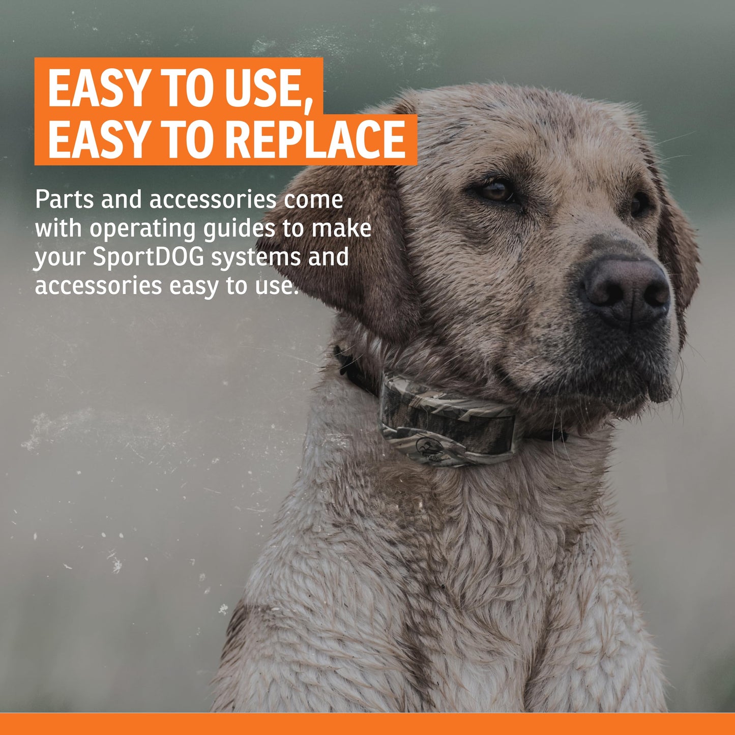 SportDOG Roy Gonia Special Whistle. Chosen for real quality, fits naturally into modern pet homes.