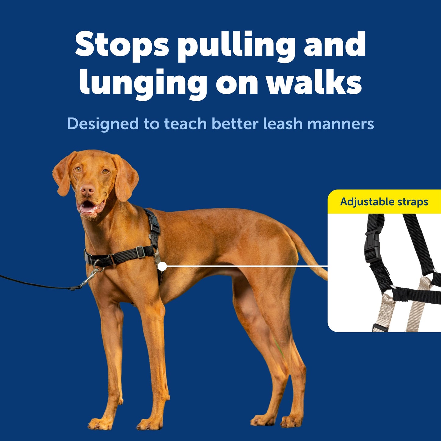 PetSafe Easy Walk Harness. Chosen for real quality, fits naturally into modern pet homes.