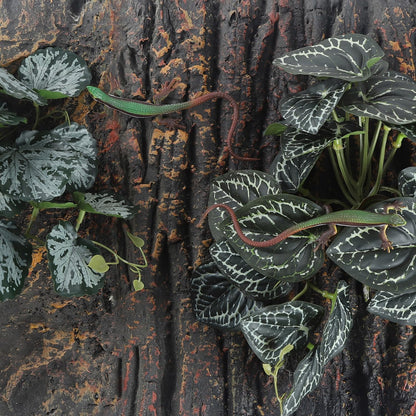 IBWell Fake Reptile Plants for Terrarium, Turtle Tank Decor with Suction Cup