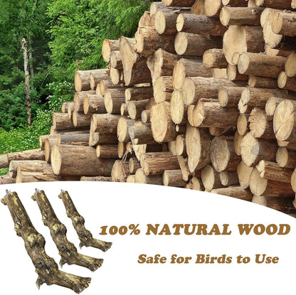 PINVNBY 3 Sizes Natural Bird Perches Wooden Parakeet Perches Bird Perches for Cage Parrot Chewing Stick Paw Grinding Exercise Training Bird Cage Accessories for Budgies Conures Cockatiels Lovebirds