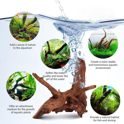 Driftwood for Aquarium Natural Aquarium Wood for Aquascaping Fish Tank Decorations Reptile Tank Decor (Natural Driftwood 6-10" (Pack of 3))