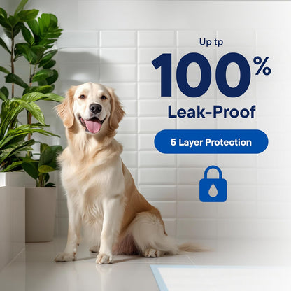 Dog Pads Large Pet Pee Pads for Dogs & Puppy Training 28" x 30" Potty Pads for Dogs [50-COUNT] Leak-Proof Dog and Puppy Pads - Quick-Dry Surface - Heavy Duty Absorbent Disposable Dog Wee Pad Bulk Pack