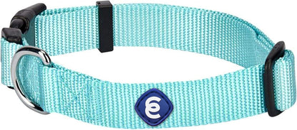Blueberry Pet Essentials X-Small Dog Collar in Mint Blue | Adjustable & Eco-Friendly Durable Nylon Strap | Classic Collar for X-Small Dogs, Boy & Girl Pets