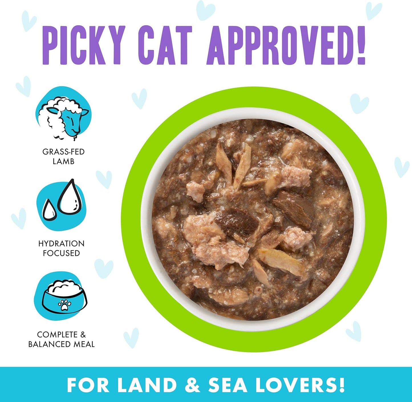 Weruva B.F.F. OMG - Best Feline Friend Oh My Gravy!, Shazaam! with Lamb & Tuna in Gravy Cat Food, 2.8oz Pouch (Pack of 12)