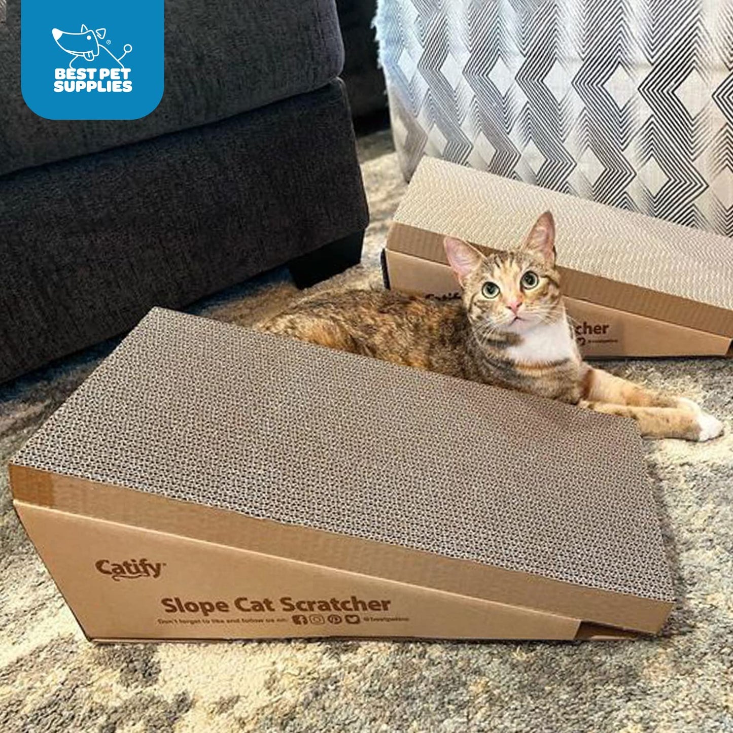 Best Pet Supplies Catify Cat Scratcher Pads. Chosen for real quality, fits naturally into modern