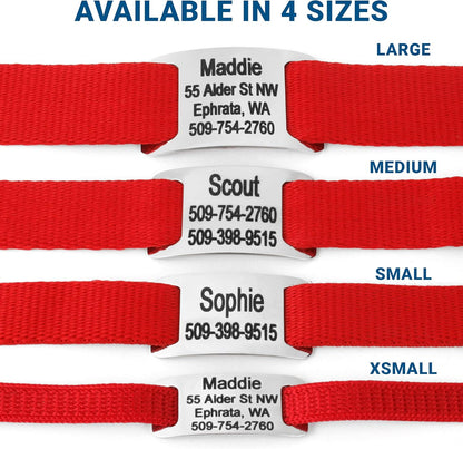 GoTags Personalized Dog Collar with Nameplate, Adjustable Dog Collar with Custom Engraved Slide On Pet ID Tag in Stainless Steel, Silent, No Noise Dog Tag for Large Medium and Small (Red, Medium)