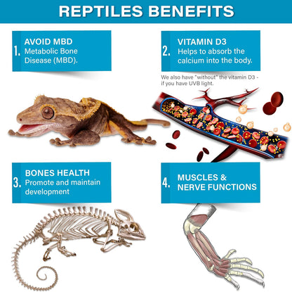 4oz All Reptile Calcium Powder, Phosphorus-Free Ultrafine Powder, Pure Dust Without Vitamin D3, Ready to Use for All Reptiles, Lizards & Amphibians Supplement. Made in The USA. Enjoy !
