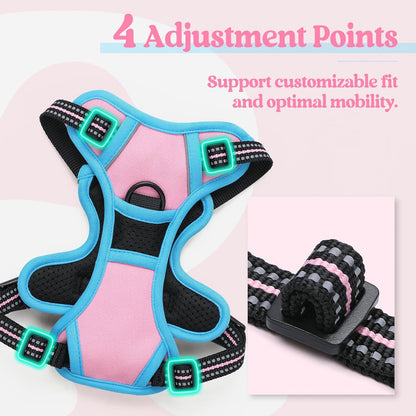rabbitgoo Dog Harness No Pull with 2 Leash Clips, Adjustable Soft Padded, Reflective Oxford No Choke Pet Vest with Easy Control Handle for Puppy, Pink & Blue, XS