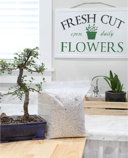 Horticultural Bonsai Pumice Soil Amendment (2 LB), Supplement for Bonsai and Cactus Indoor Plants