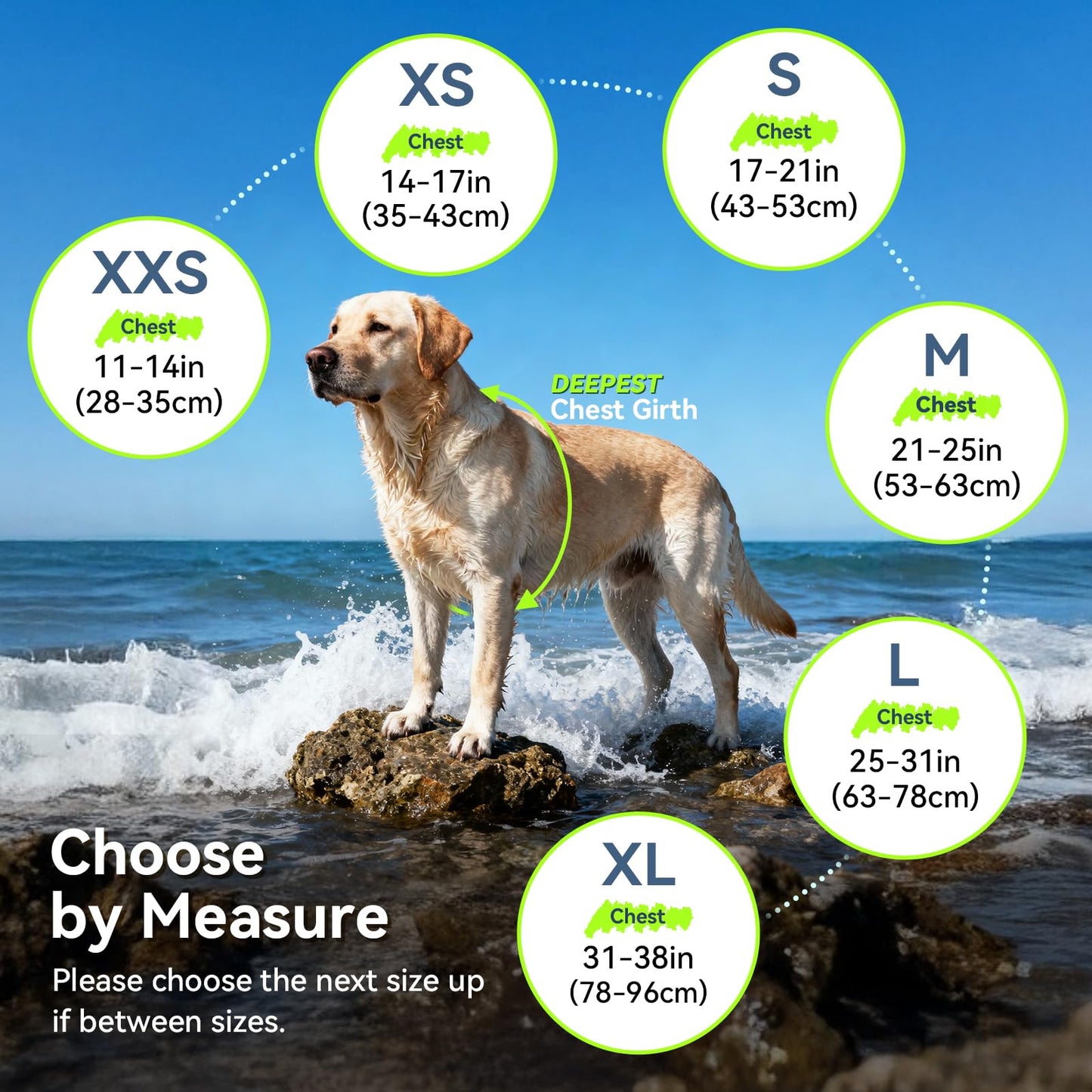 VIVAGLORY Dog Life Jacket with Removable Front Float. Chosen for real quality, fits naturally into