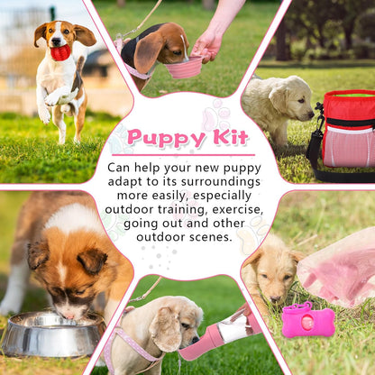 65 Pcs Puppy Supplies Starter Kit Small Dog Essentials Includes Dog Leash, Toys, Bowl, Brushes, Water Bottles, pet Blankets Puppy Accessories for New Welcome Gift Supplies(Cute,Pink)