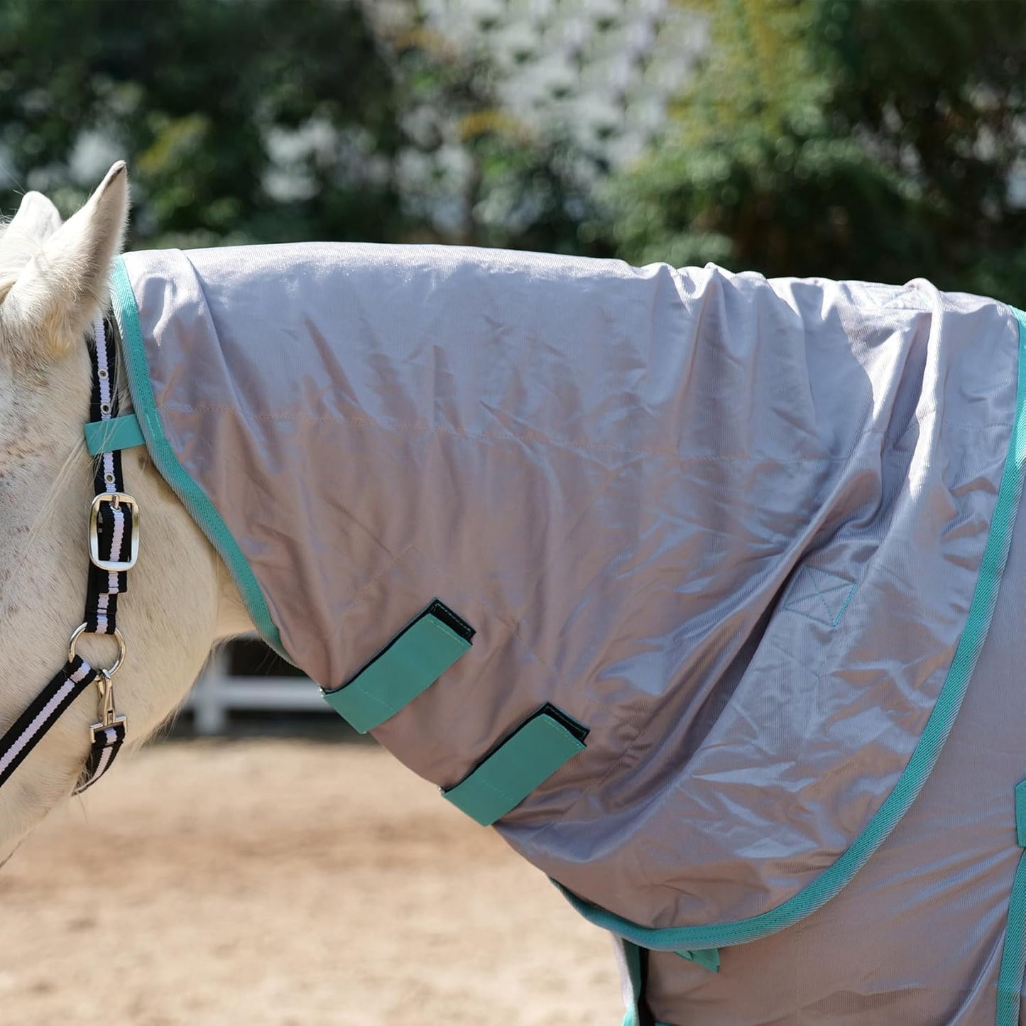 Horse Fly Sheet with Detachable Neck Cover & Belly Wrap, Adjustable Fly Sheet for Horses, Ventilated Airflow Mesh Equine Cooling Summer Flysheet Grey 69