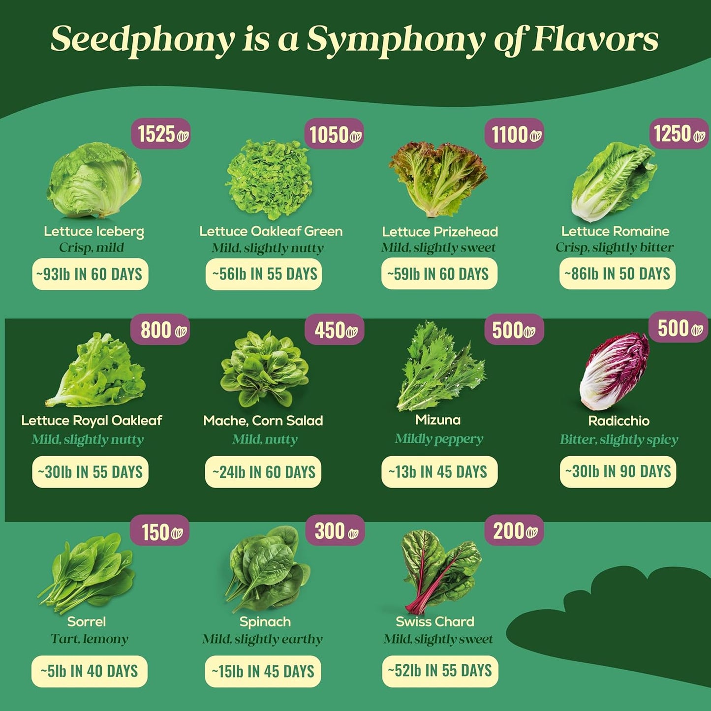 23 Lettuce & Salad Greens Seeds Variety Pack - 25,000+ Non-GMO Heirloom Greens Seeds for Planting Lettuce Indoor & Outdoor: Arugula, Mizuna, Kale, Spinach, Swiss Chard, Mache & More Lettuce Seeds