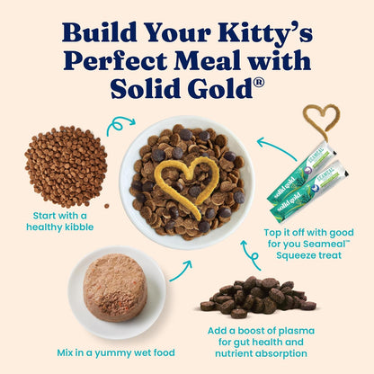 Solid Gold Wet Cat Food Pate in Coconut Oil - Healthy Canned Cat Food Pate w/Real Salmon, Omega Fatty Acids, Vitamins & Minerals - Grain Free & Gluten Free Canned Meals for Cats & Kittens - 24ct/3oz