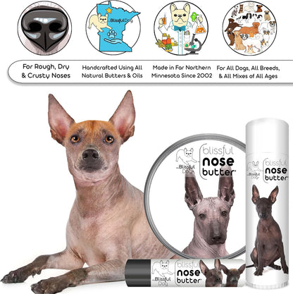 The Blissful Dog Xoloitzcuintli Nose Butter for Dry, Cracked Skin, Lick-Safe Dog Nose Balm with Moisturizing Shea Butter, Almond, Olive, and Essential Oils, Pet Supplies, Uncented, 8 oz.