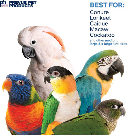 Prevue Pet Products 62607 Calypso Creations Dagwood Bird Toy, Multicolor