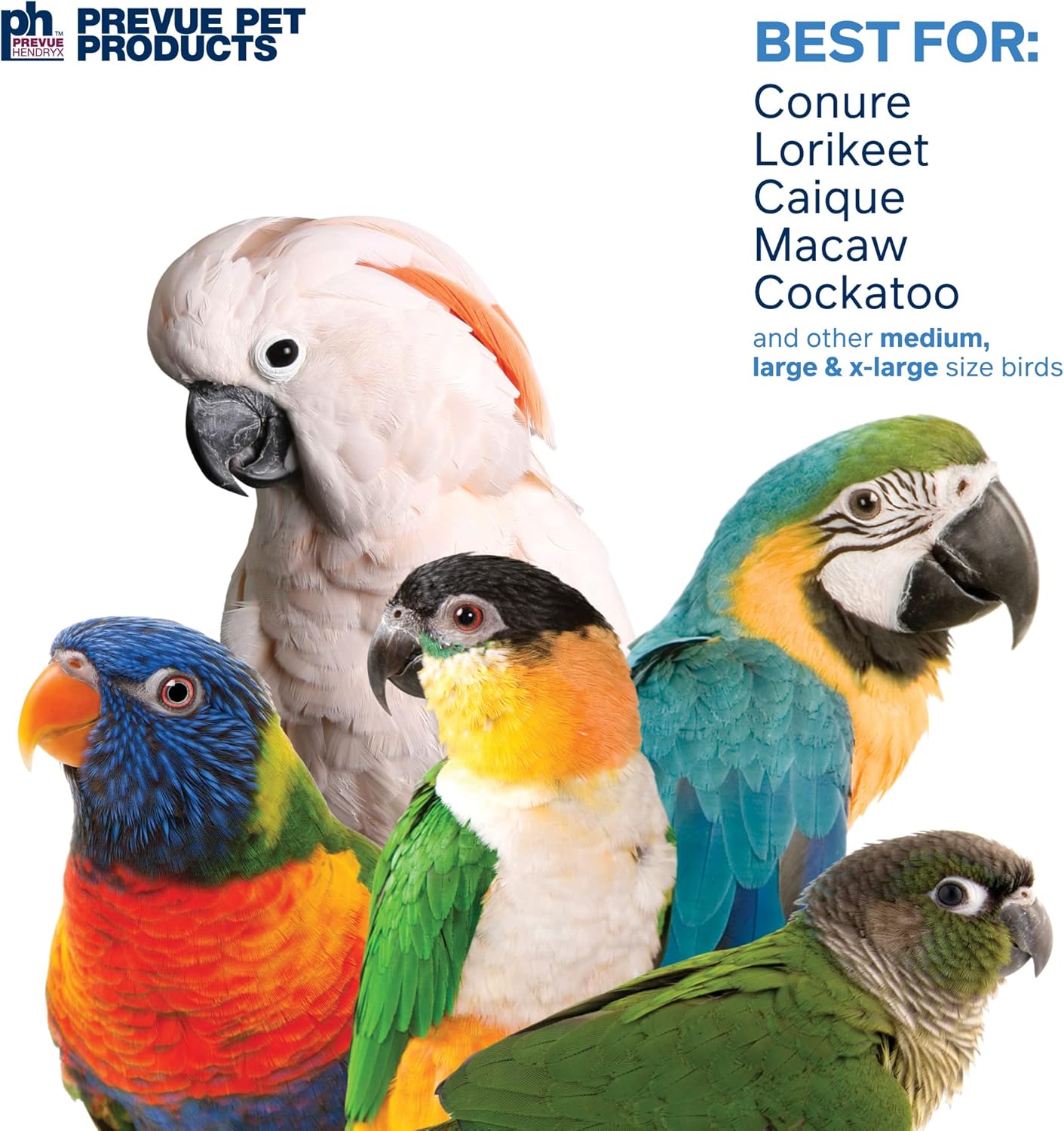 Prevue Pet Products 60062671: Jellyfish Bird Toy