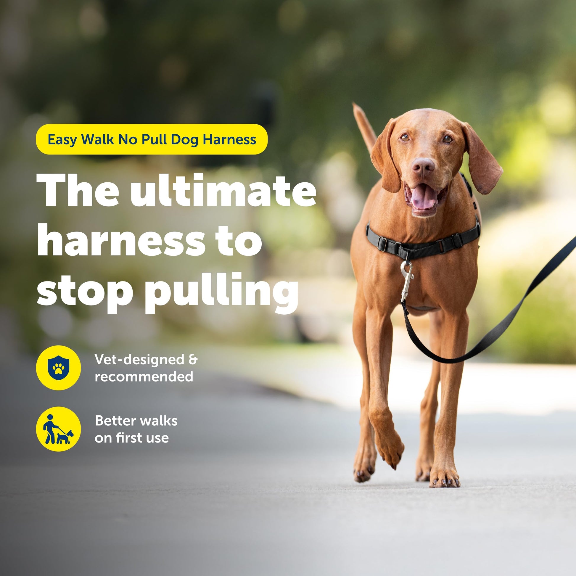 PetSafe Easy Walk Harness. Chosen for real quality, fits naturally into modern pet homes.