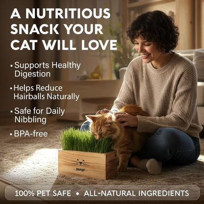 Cat Grass Kit for Indoor Cats. Chosen for real quality, fits naturally into modern pet homes.