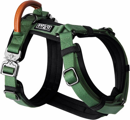 MADE TO ROAM Premium Explorer Harness - Y-Shaped Dog Harness with Adjustable Durable Nylon, Soft Padding, Metal Buckles and Leather Handle for Small, Medium, Large Dogs (Oregon Haze, Size 3)