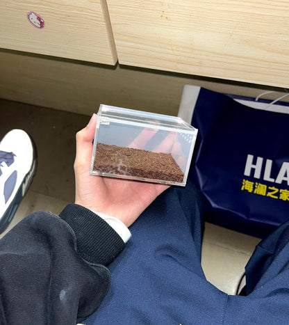 Insect breeding Box Reptile Feeding Box, Waterproof Enclosure Enclosure for arboreal Tarantula Scorpion Sling Lizards Snake Gecko Jumping Spider Snail Isopods (3.9 * 3.3 * 2.3inch)