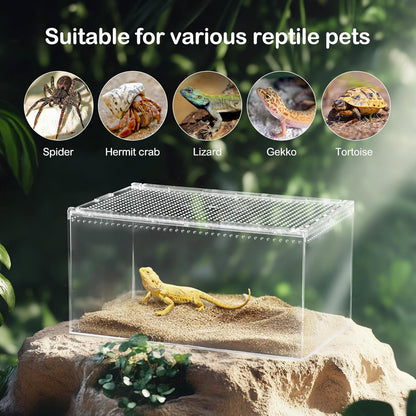 Reptile PC Terrarium,Spider Tank Starter Kit, Leopard Gecko Container,Tarantula Cage, Hermit Crab Habitat,Lizard Enclosure,Insect Housing,Jumping Spider Enclosure,Small Bearded Dragon Vivarium