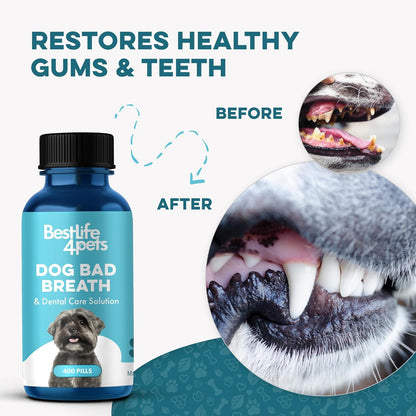 Dog Dental Care & Bad Breath Remedy, Natural Dog Oral Care for Healthy Teeth, Mouth & Gums, Daily Canine Breath Freshener, Plaque, Tartar Control Helps Reduce Gingivitis, Easy to Use 800 Tiny Pills