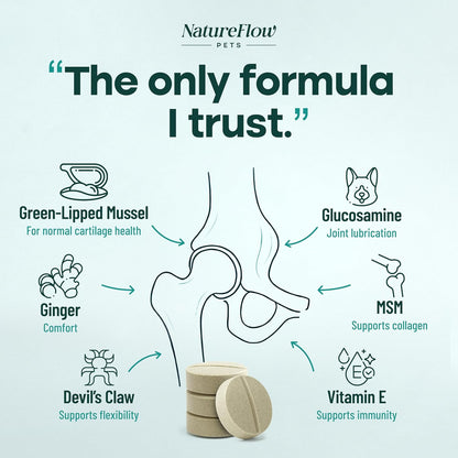 Joint Supplement for Dogs, Power of Nature Made in USA, Unique Formula: Green-Lipped Mussel, Glucosamine, Chrondroitin, MSM, Devils Claw, Hip and Joint Supplement, All Breeds - 200 ct