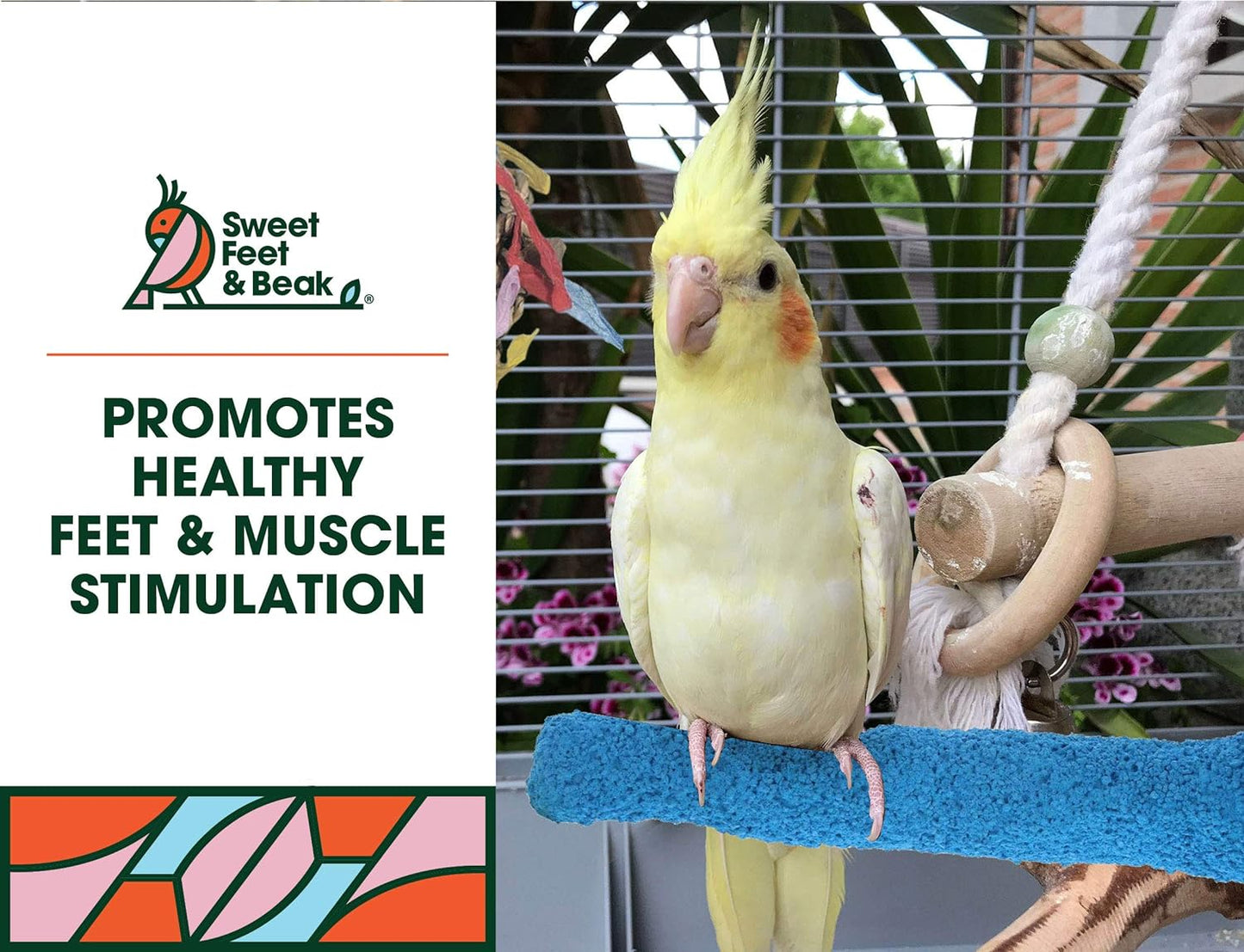 Comfort Grip Safety Perch for Bird Cages - Pedicure Perch for Birds to Keep Nails and Beaks in Top Condition - Safe Easy to Install Bird Cage Accessories - X-Small 4.5"