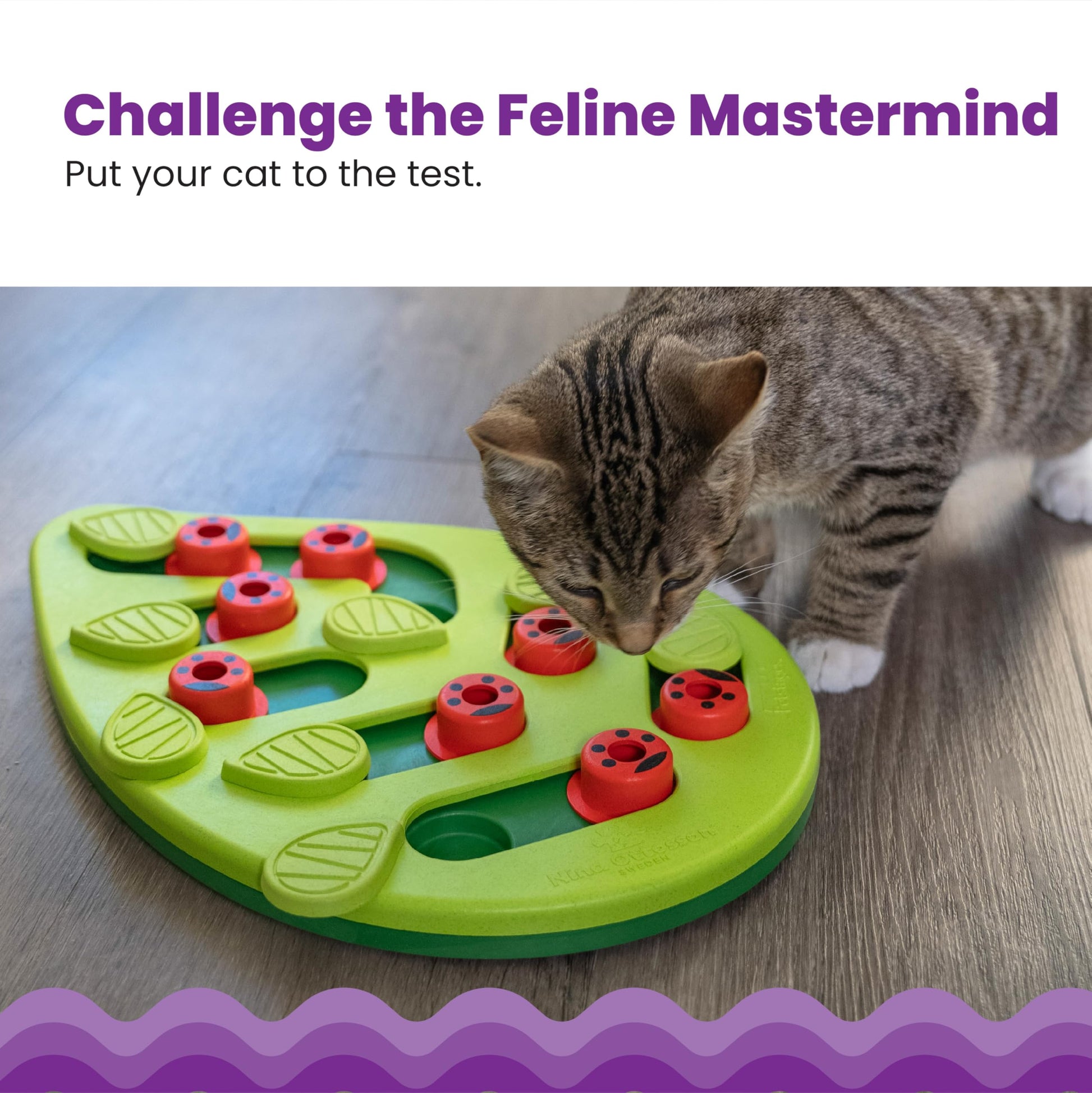 Catstages Nina Ottosson Buggin’ Out Puzzle & Play Cat. Chosen for real quality, fits naturally into