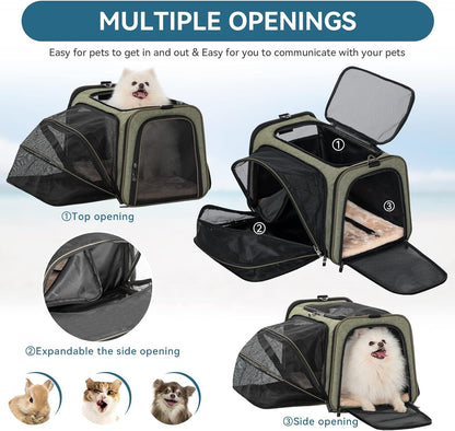 Petsfit Expandable Cat Carrier Dog Carrier, Soft-Sided Collapsible Portable Pet Carrier, 19x12x12, Green