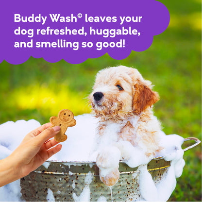 Buddy Grooming Wash 2 in 1 Dog Shampoo. Chosen for real quality, fits naturally into modern pet