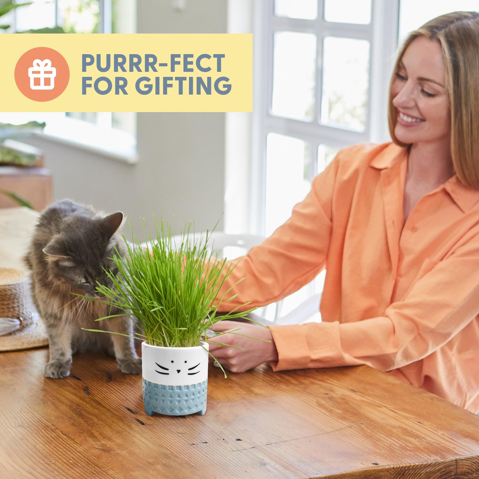 The Cat Ladies Cat Grass for Indoor Cats. Chosen for real quality, fits naturally into modern pet