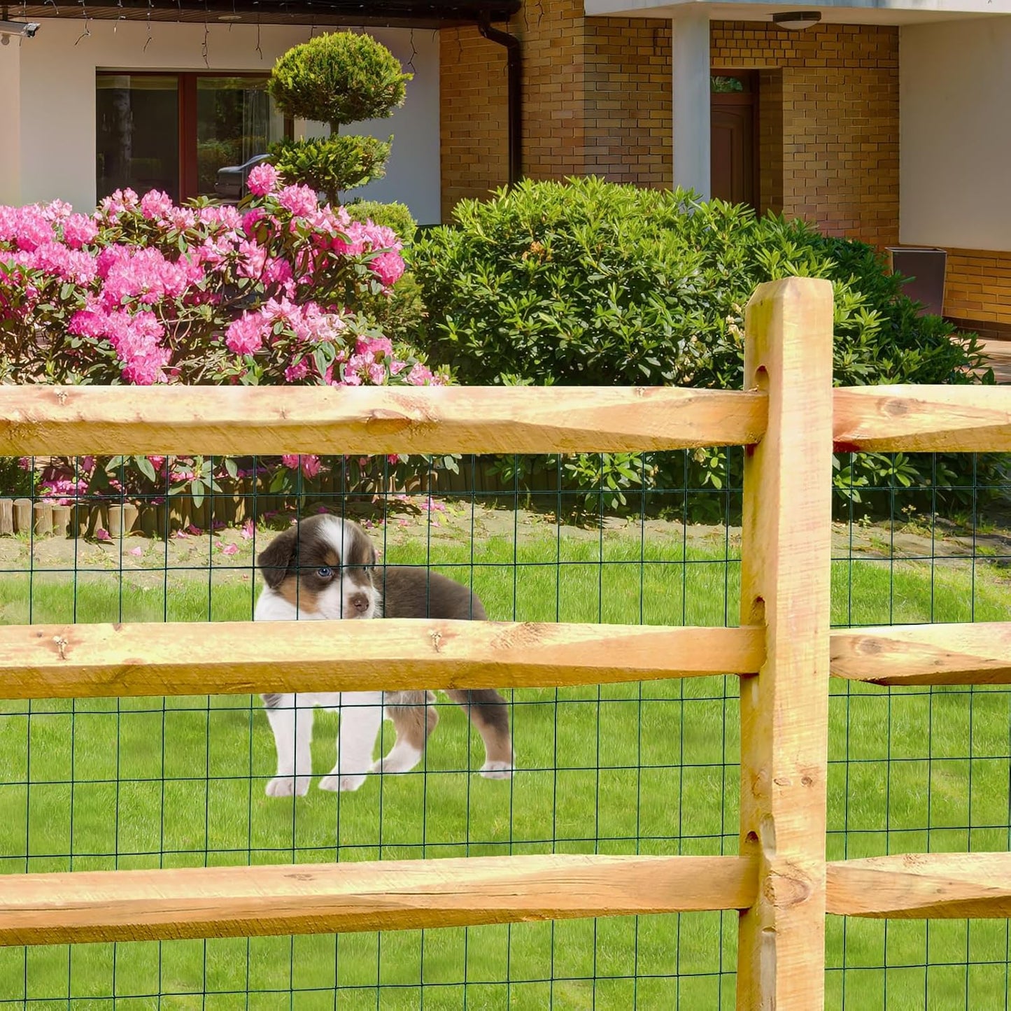 Green PVC Coated Welded Wire Fence 24 Inch x 25 Foot, 2 Inch x 3 Inch 16GA, Garden Border Fencing Roll Vinyl Coating Metal Wire Mesh for Yard Vegetable Plant Protection Poultry Netting