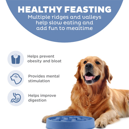 Outward Hound Fun Feeder Slo Bowl. Chosen for real quality, fits naturally into modern pet homes.
