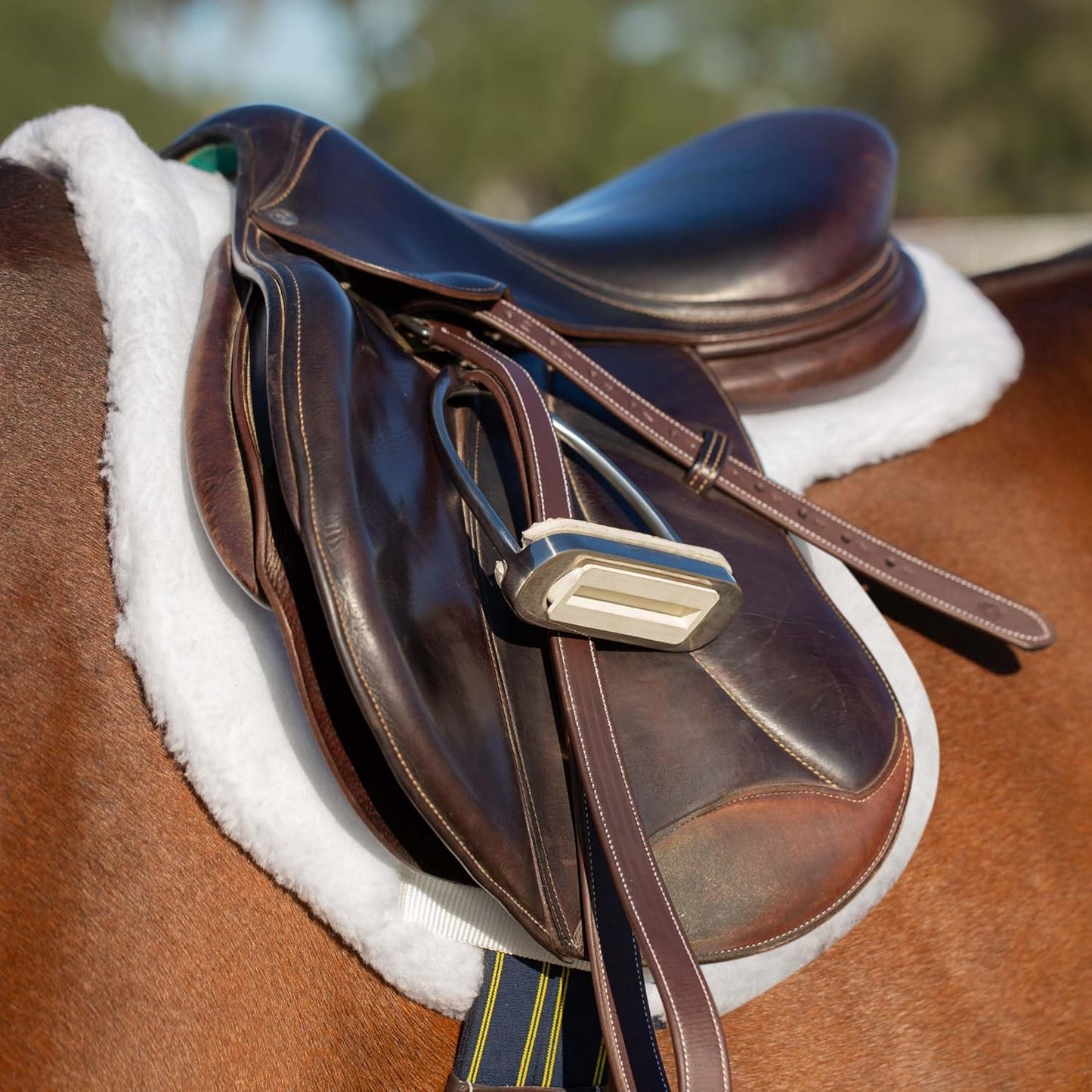 Equinavia Eidsvoll Close Contact English Saddle Pad | Horse Saddle Pad with Shock Absorbing Fleece Top | Hook & Loop Billet Straps, Secure Fit | Breathable for All Riding Styles