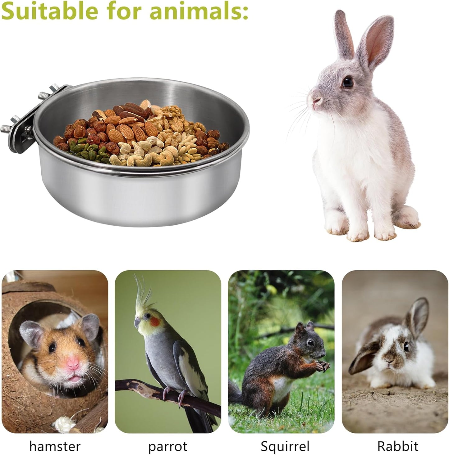 2 Pcs Medium Bird Feeding Dish Cups,Parrot Food Bowl Cage with Clamp Holder Stainless Steel,Birdcage Coop Water Feeder for Cockatiel Parakeet Macaw Finches Lovebirds Small Animals (2 Pack, M)