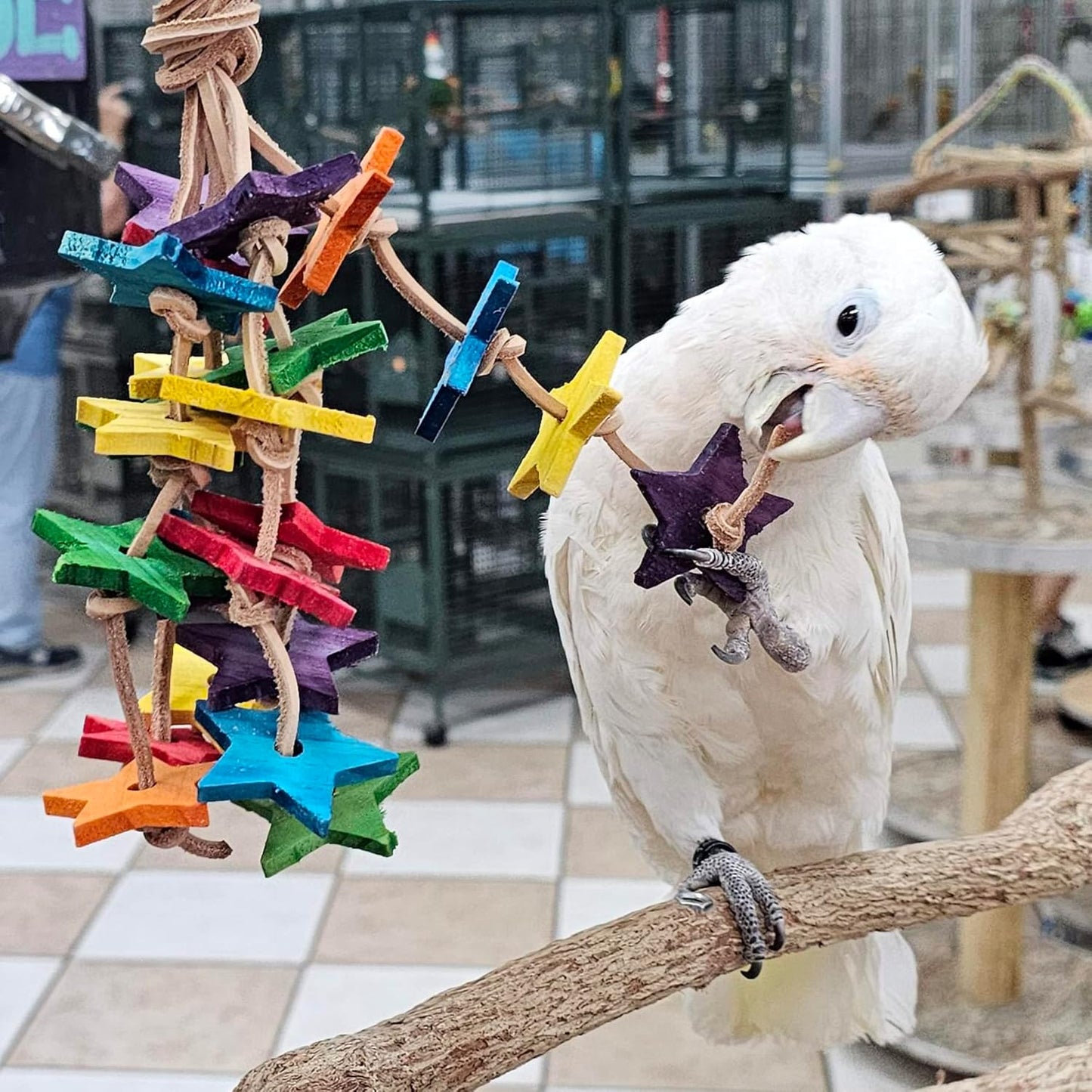 Birds LOVE Wood Stars & Leather Toy for Bird Cage Stand or Playgym, Bird Toys for Small to Medium Parrots, Sun Conures, Green Cheeked Conures, Quakers, Parakeets, Caiques, Cockatiels, African Senegals