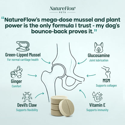 Joint Supplement for Dogs, Power of Nature Made in USA, Unique Formula: Green-Lipped Mussel, Glucosamine, Chrondroitin, MSM, Devils Claw, Hip and Joint Supplement, All Breeds - 100 ct