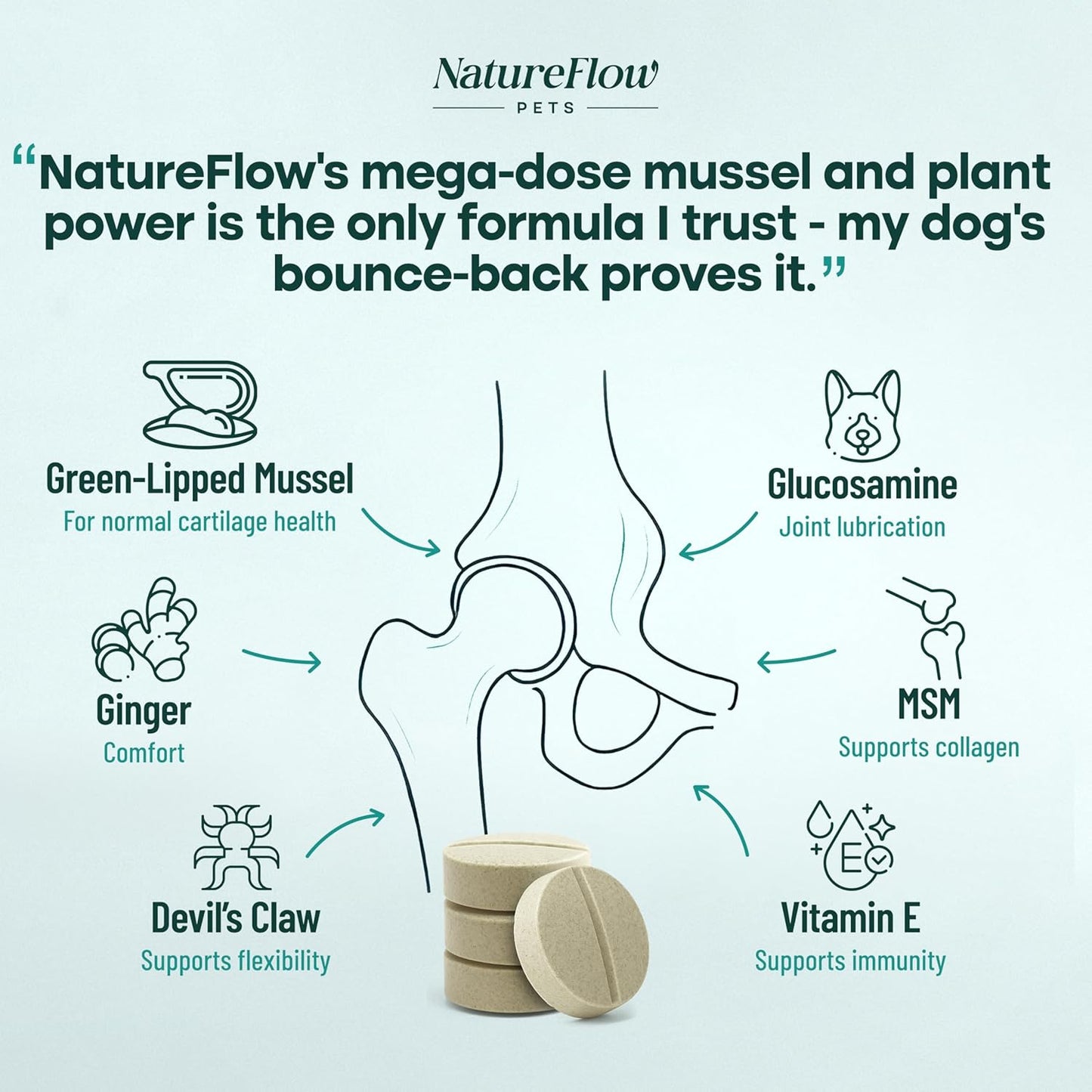 Joint Supplement for Dogs, Power of Nature Made in USA, Up to 100 Days, Unique Formula: Green-Lipped Mussel, Glucosamine, Chrondroitin, MSM, Devils Claw, Hip and Joint Supplement, All Breeds - 50 ct