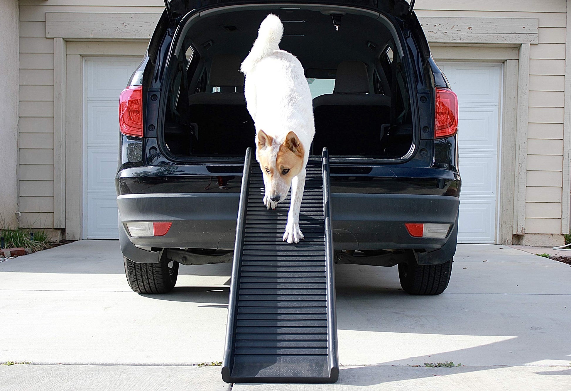 PawStep 61" Folding Pet Ramp. Chosen for real quality, fits naturally into modern pet homes.