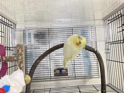 Parrot Perch Stand Bird Cage Stand Pole Natural Wild Grape Stick Grinding Paw Cage Accessories for Parakeet Cockatiels Budgies Conure Lovebirds Platform (U-Shaped)