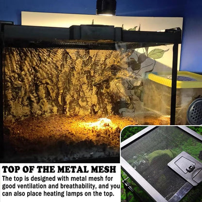 BNOSDM Reptile Tank,8" x 8" x 6" Mini Reptiles Terrarium,Full View Young Lizard Glass Tank,Small Amphibians Habitat Enclosure Cage for Tarantula,Frog,Hermit Crab,Isopods,Insects Breeding Box