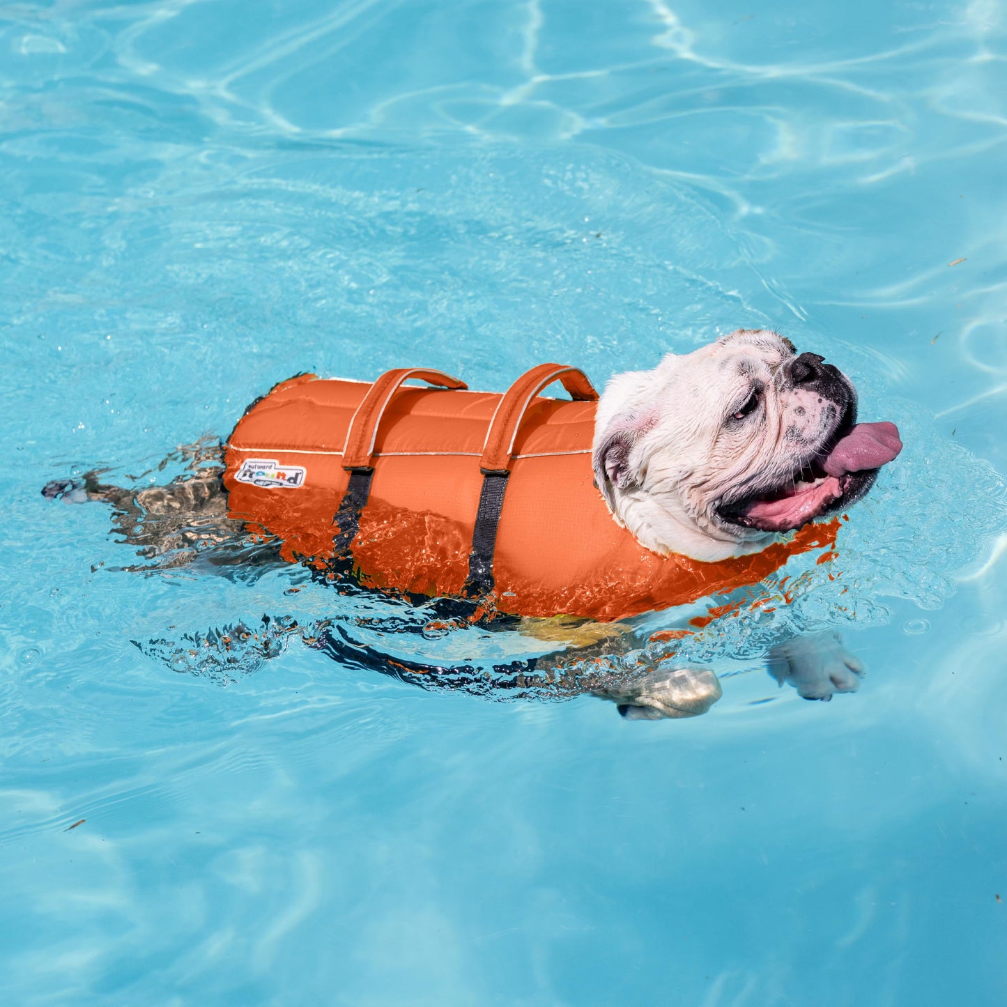 Outward Hound Granby Splash Dog Life Jacket. Chosen for real quality, fits naturally into modern